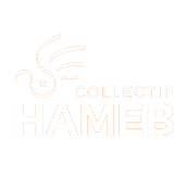 Collectif HAMEB / Halte Au Massacre En Birmanie