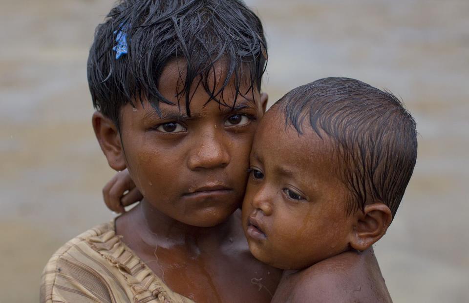 941129_355003087955252_196416838_n